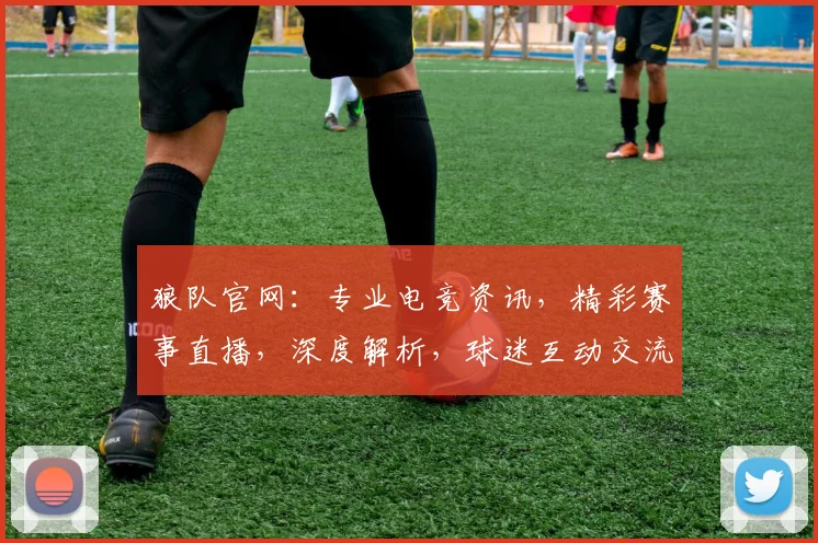 狼队官网：专业电竞资讯，精彩赛事直播，深度解析，球迷互动交流平台，精彩不容错过
