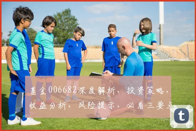 基金006682深度解析，投资策略，收益分析，风险提示，必看三要点