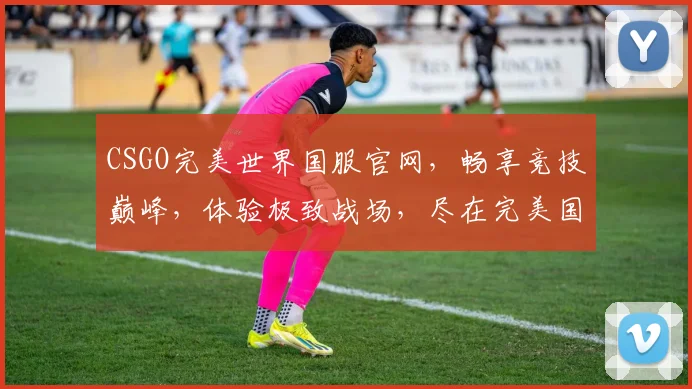 CSGO完美世界国服官网，畅享竞技巅峰，体验极致战场，尽在完美国服