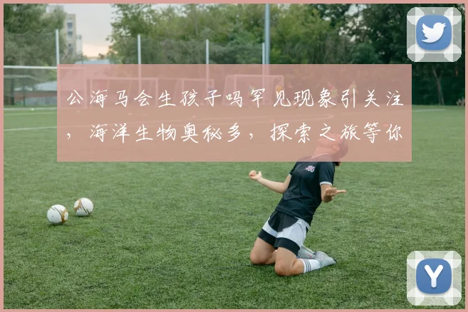 公海马会生孩子吗罕见现象引关注，海洋生物奥秘多，探索之旅等你来