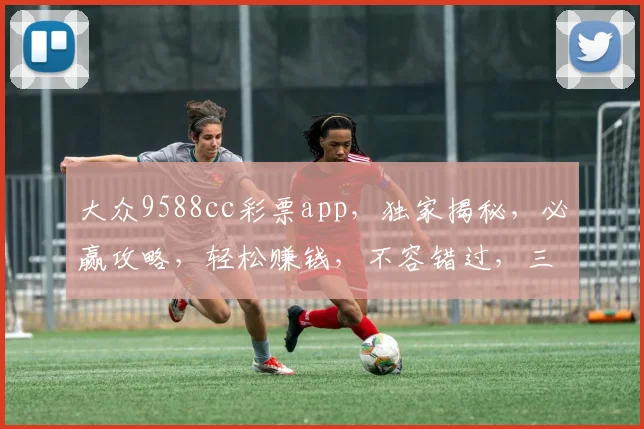 大众9588cc彩票app，独家揭秘，必赢攻略，轻松赚钱，不容错过，三重福利等你来拿