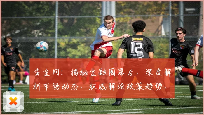 黄金网：揭秘金融圈幕后，深度解析市场动态，权威解读政策趋势，三大亮点不容错过