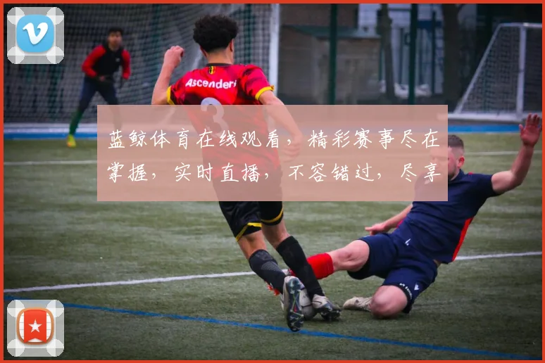 蓝鲸体育在线观看，精彩赛事尽在掌握，实时直播，不容错过，尽享体育盛宴