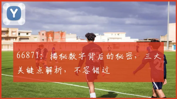 66871：揭秘数字背后的秘密，三大关键点解析，不容错过